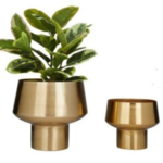 golden plant port metal