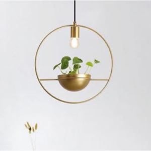 circle plant port with light
