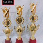 QTH 114 No Vicket Cup