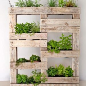 Ads Cart PALLET GROWING WALLS