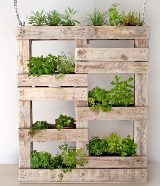 Ads Cart PALLET GROWING WALLS